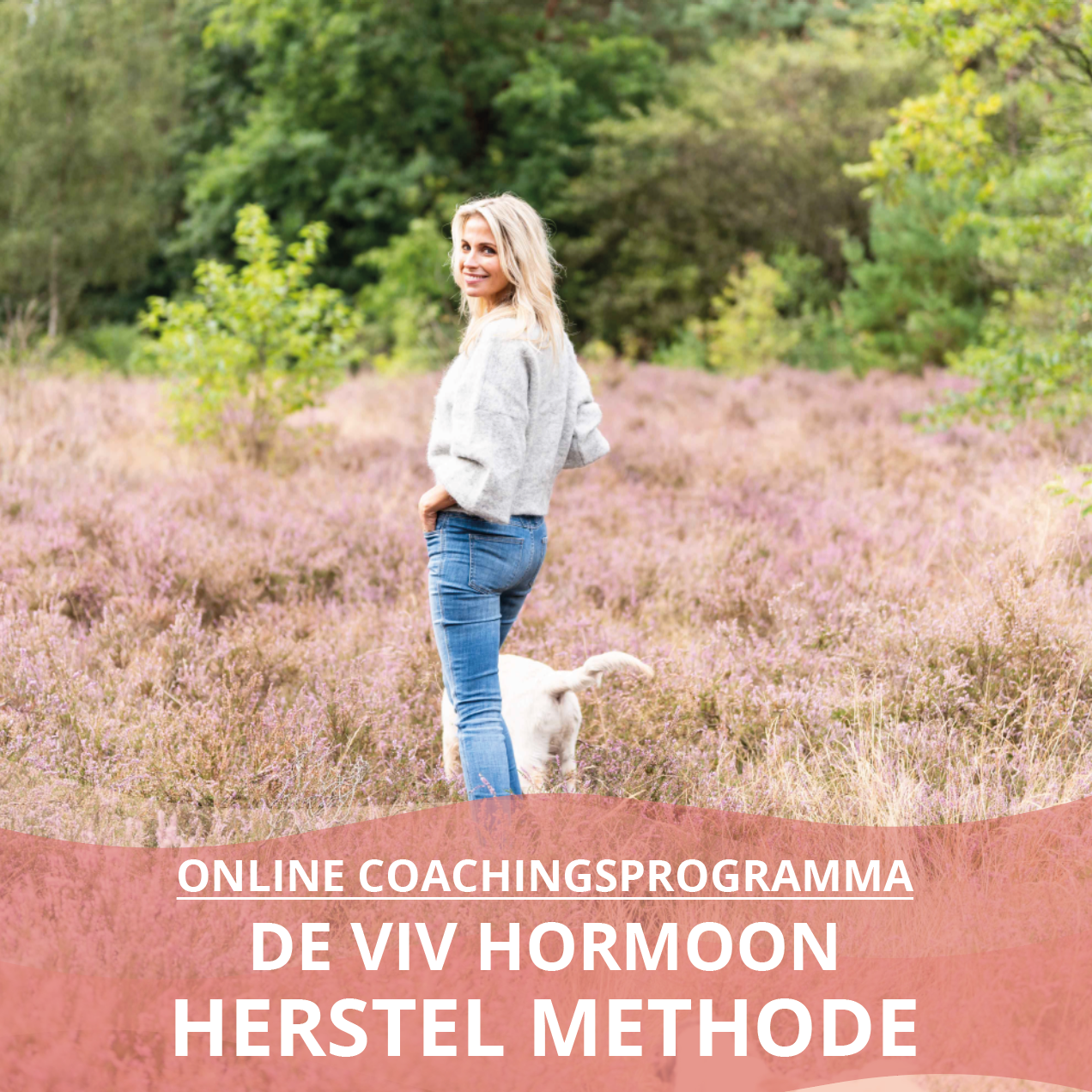 Viv hormoon herstel methode_online coaching